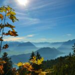 alps, rigi, pilate, stanserhorn, lake lucerne region, mist, mountain panorama, nature, leaves, sun, backlighting, distant vision, mountains, mountain meadow, foresight, heaven, central switzerland, fall, landscape, panorama, alp, alm, forest, outlook, switzerland, mountains, mountains, switzerland, switzerland, switzerland, switzerland, switzerland